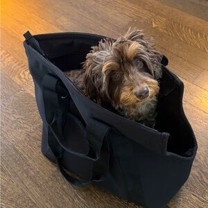 Wild One Dog Carrier Tote